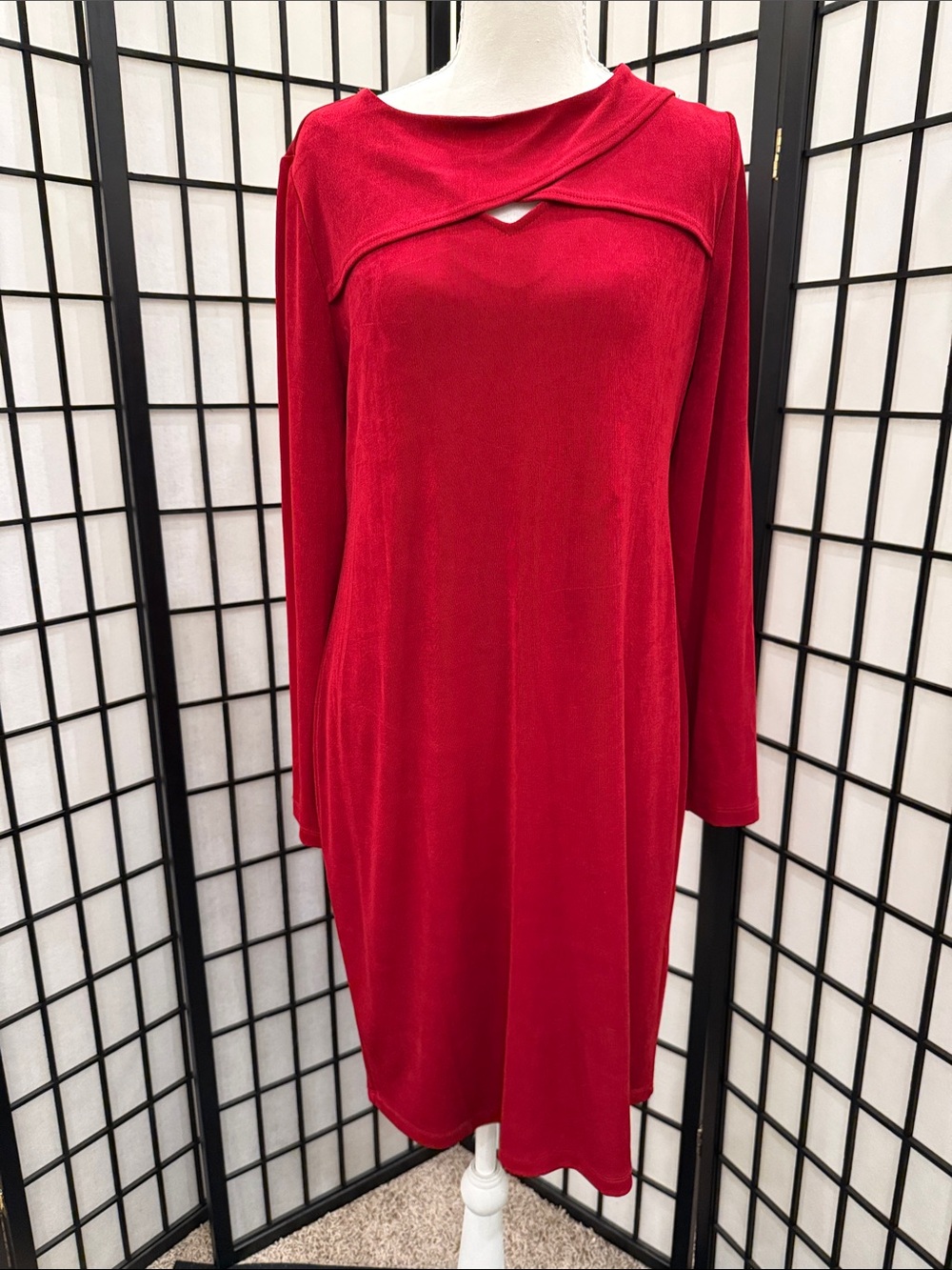 Red Long-Sleeve Shift Dress never worn